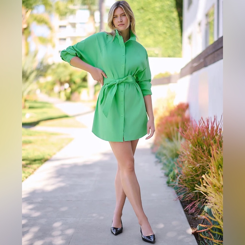 Express Women's Green Button Front Boyfriend Portofino Shirt Dress